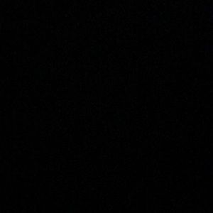 Meet your Posher, Shane